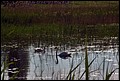 DSC04932.jpg