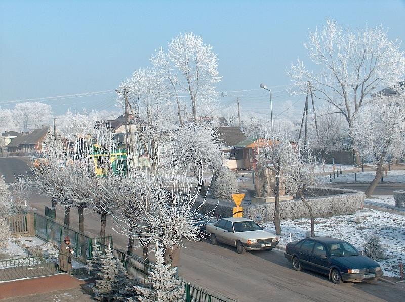 03.jpg