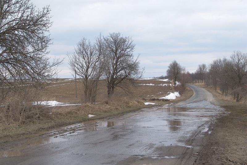 65.jpg