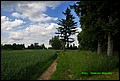 IMG_6941.jpg