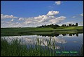 IMG_6994.jpg