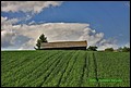 IMG_7007.jpg