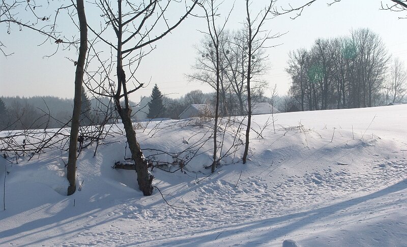 117.jpg