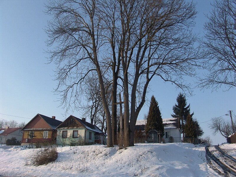 33.jpg - Krzyz przy zbiegu ulic Skierbieszowskiej i Krynoczki