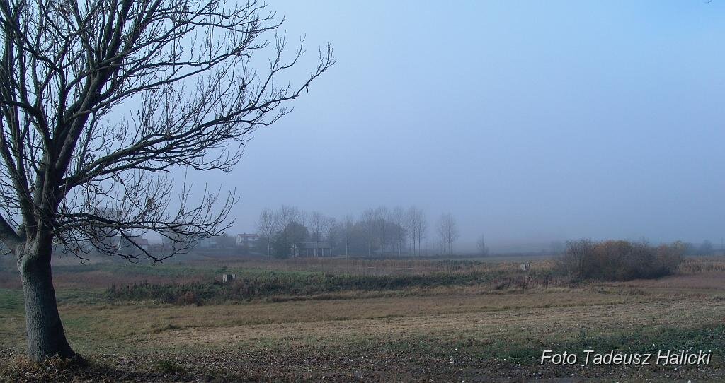 156.jpg