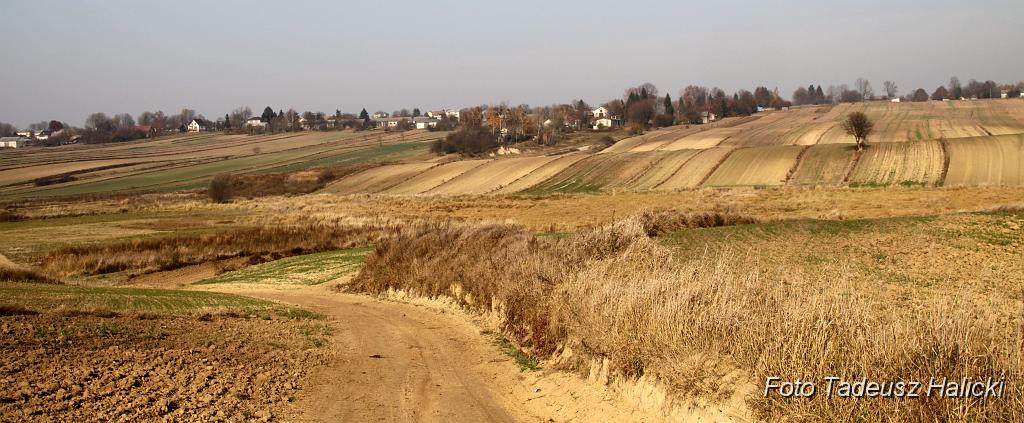 184.jpg