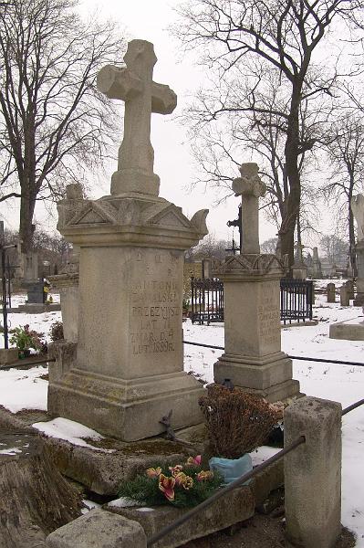 050.jpg