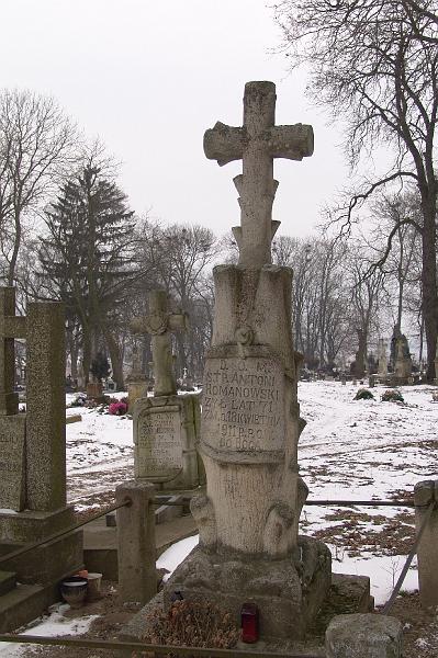 115.jpg