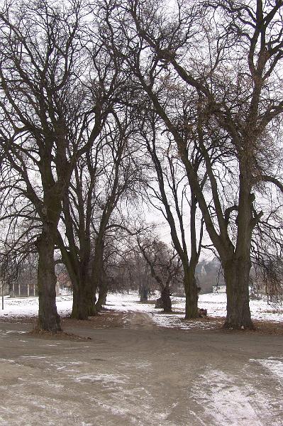 154.jpg