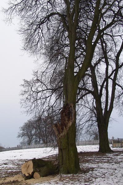 158.jpg