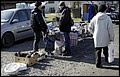 obrazy 093.jpg