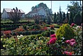 DSC07339.jpg