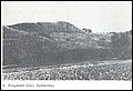 Foto-3.jpg