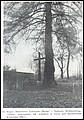 Foto-54.jpg